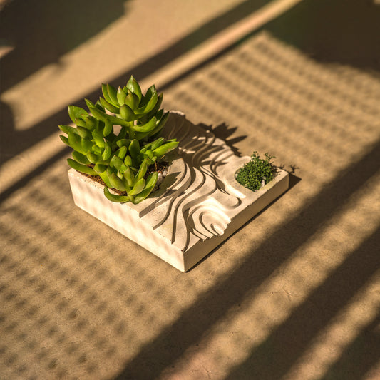 Terraced Planters