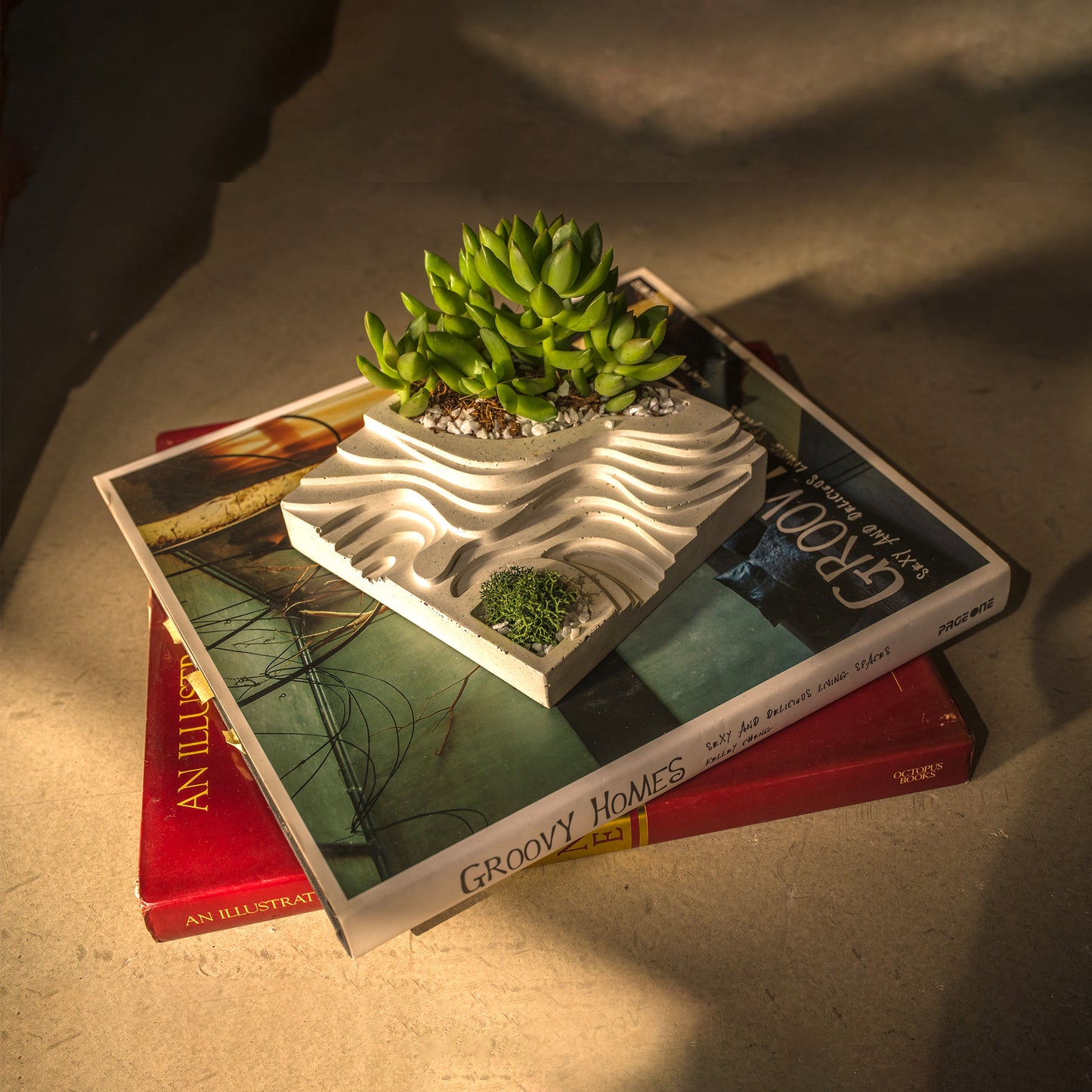 Terraced Planters